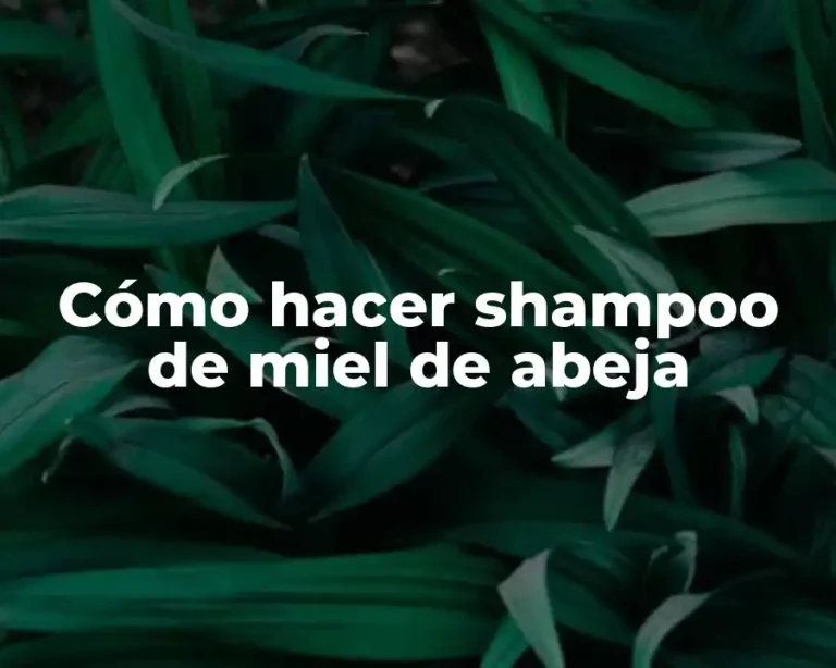 Cómo hacer shampoo de miel de abeja