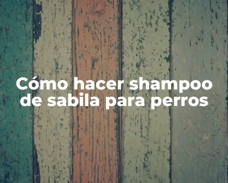Cómo hacer shampoo de sabila para perros