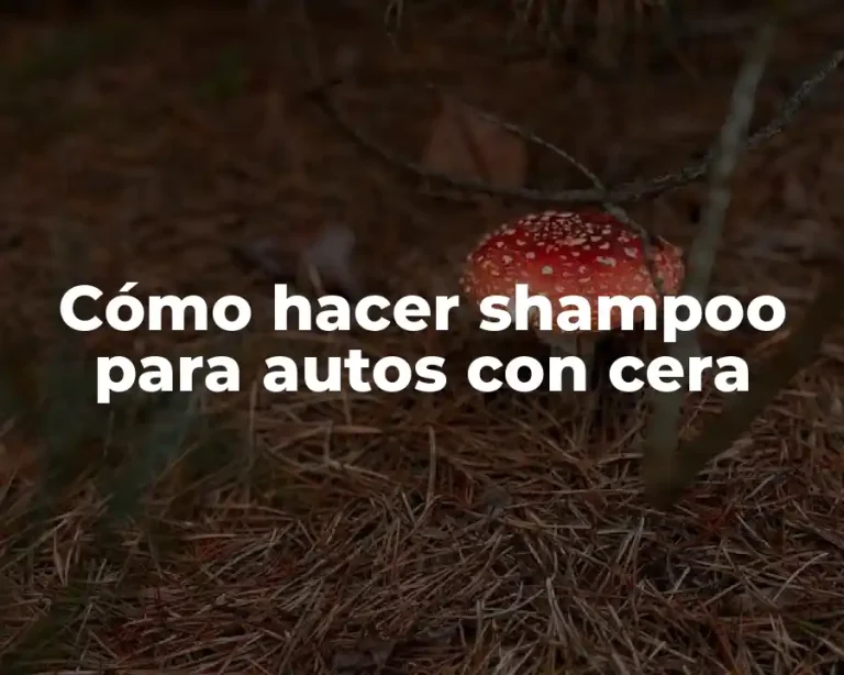 Cómo hacer shampoo para autos con cera