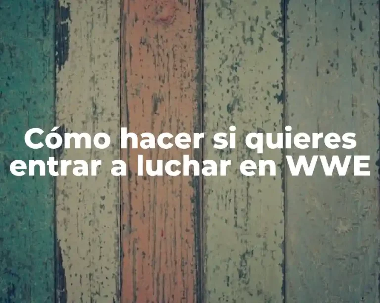 Cómo hacer si quieres entrar a luchar en WWE