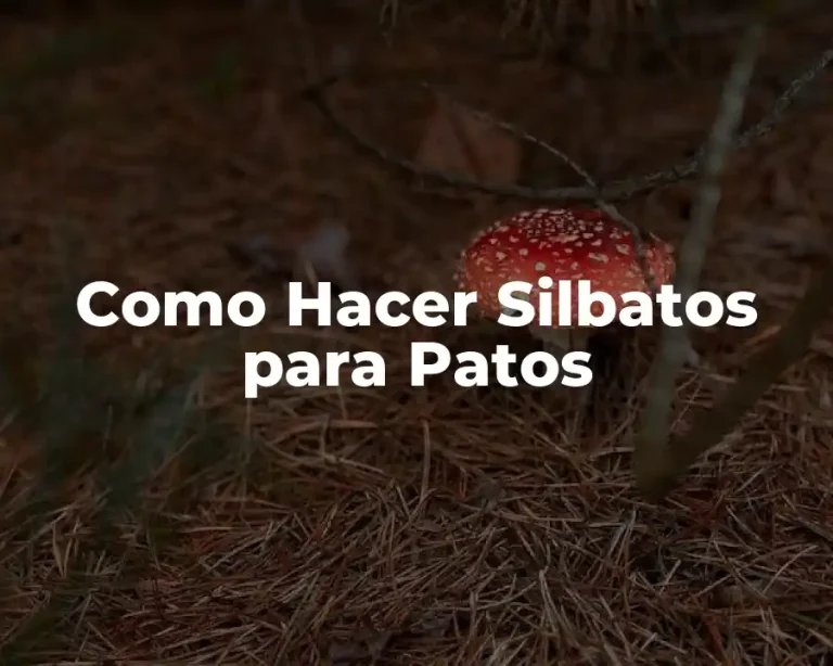 Como Hacer Silbatos para Patos