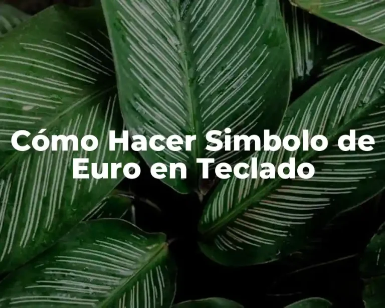 Cómo Hacer Simbolo de Euro en Teclado