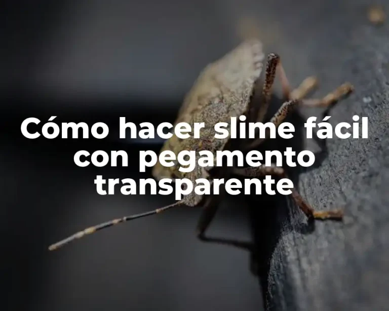 Cómo hacer slime fácil con pegamento transparente