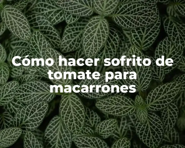 Cómo hacer sofrito de tomate para macarrones
