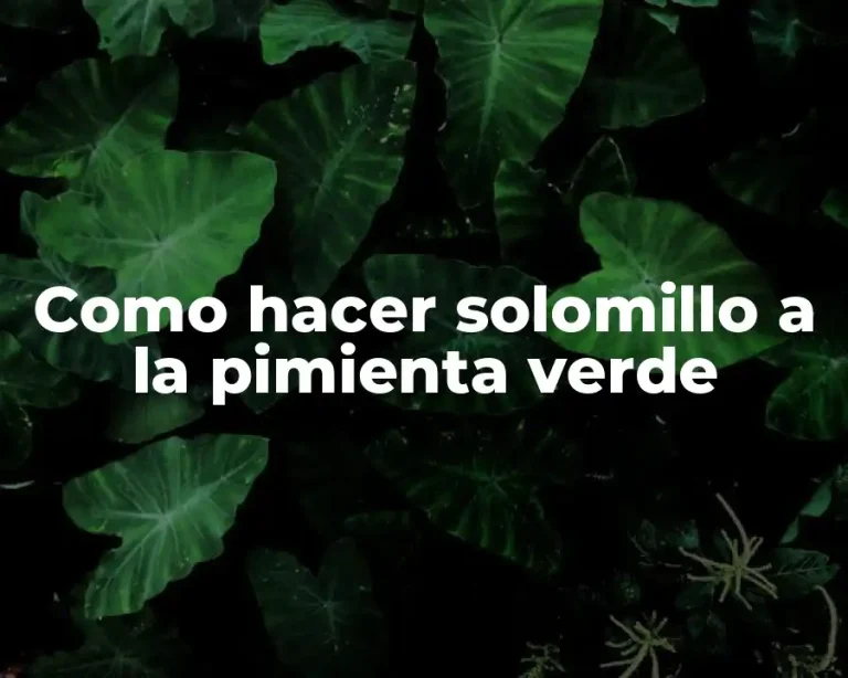 Como hacer solomillo a la pimienta verde