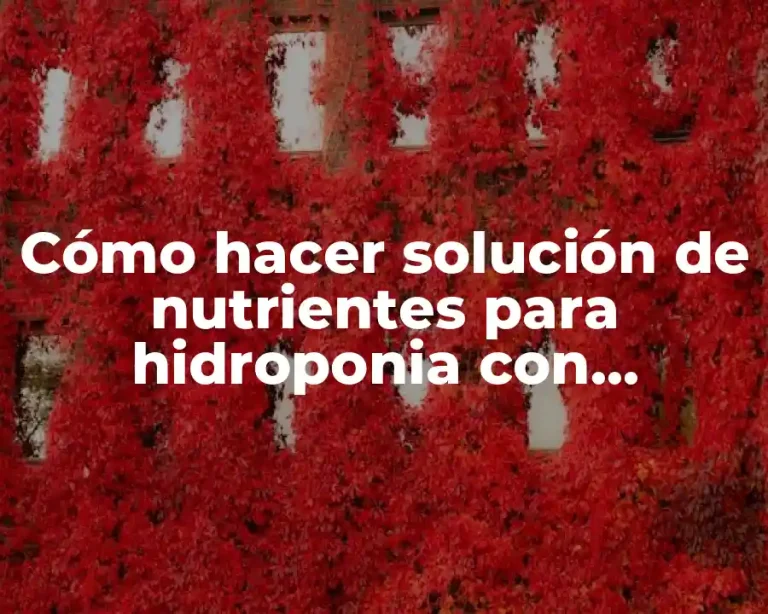 Cómo hacer solución de nutrientes para hidroponia con sustancias caseras