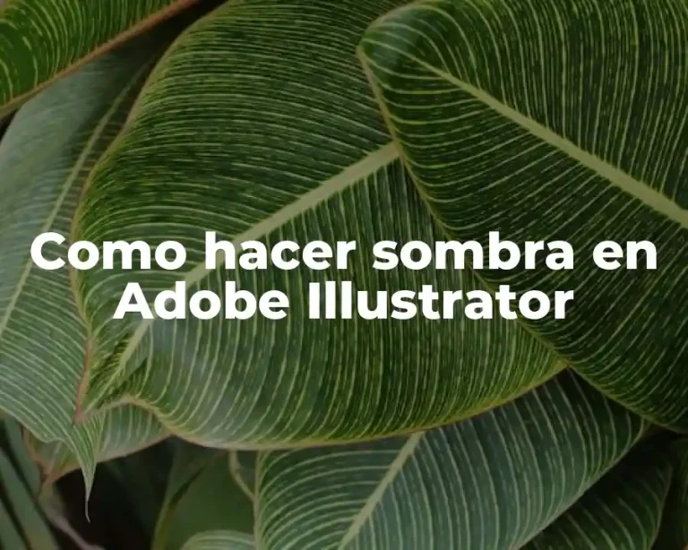 Como hacer sombra en Adobe Illustrator
