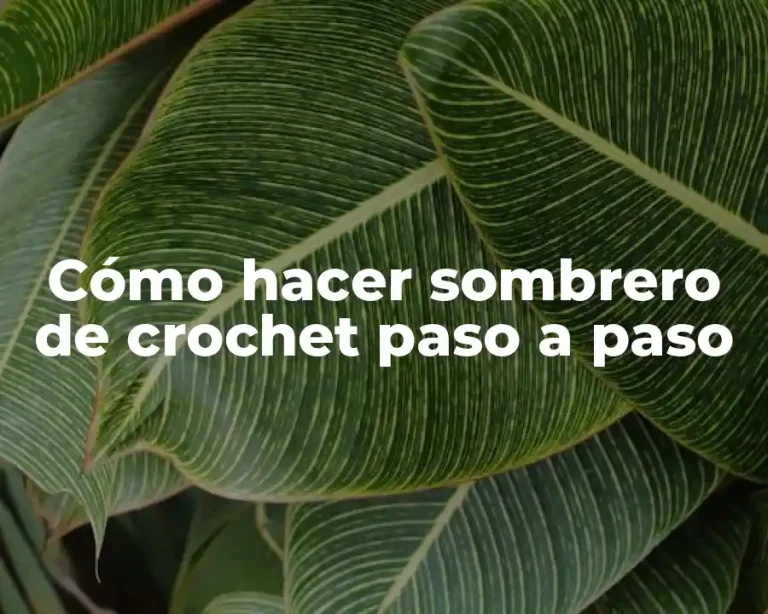 Cómo hacer sombrero de crochet paso a paso