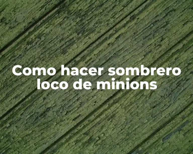 Como hacer sombrero loco de minions