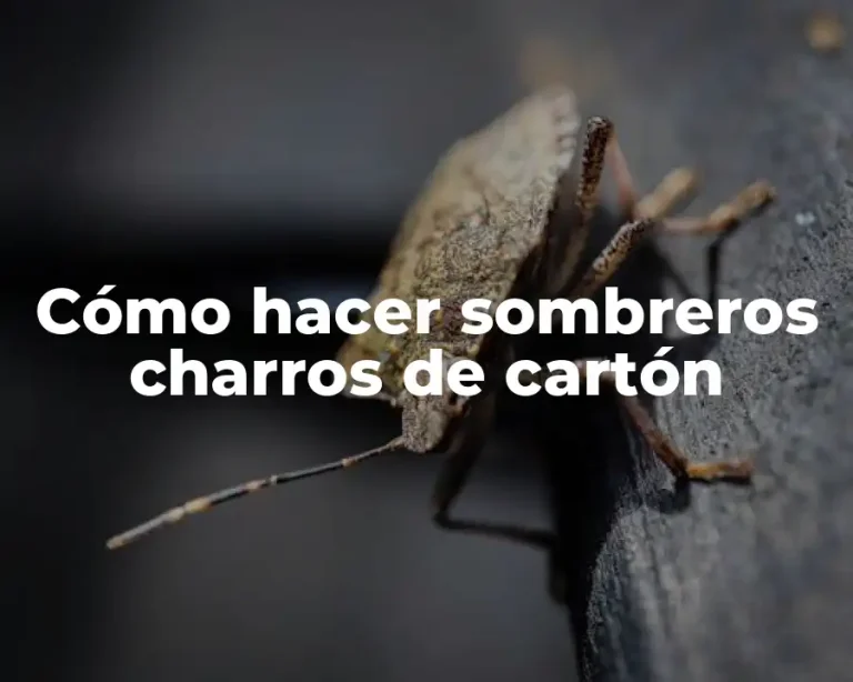 Cómo hacer sombreros charros de cartón