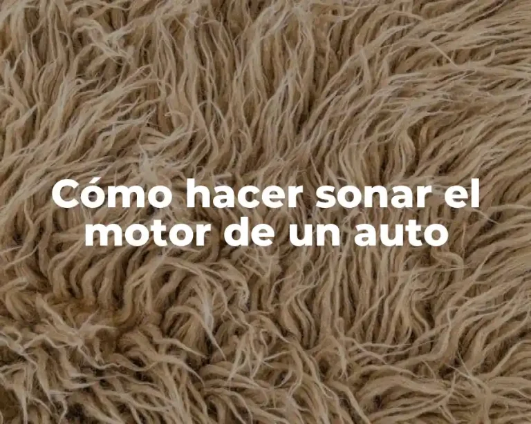 Cómo hacer sonar el motor de un auto
