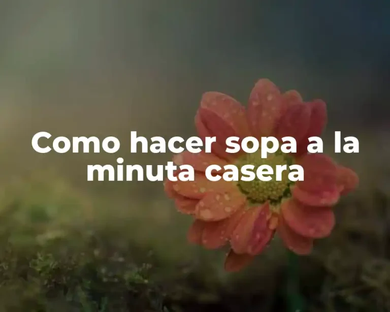 Como hacer sopa a la minuta casera
