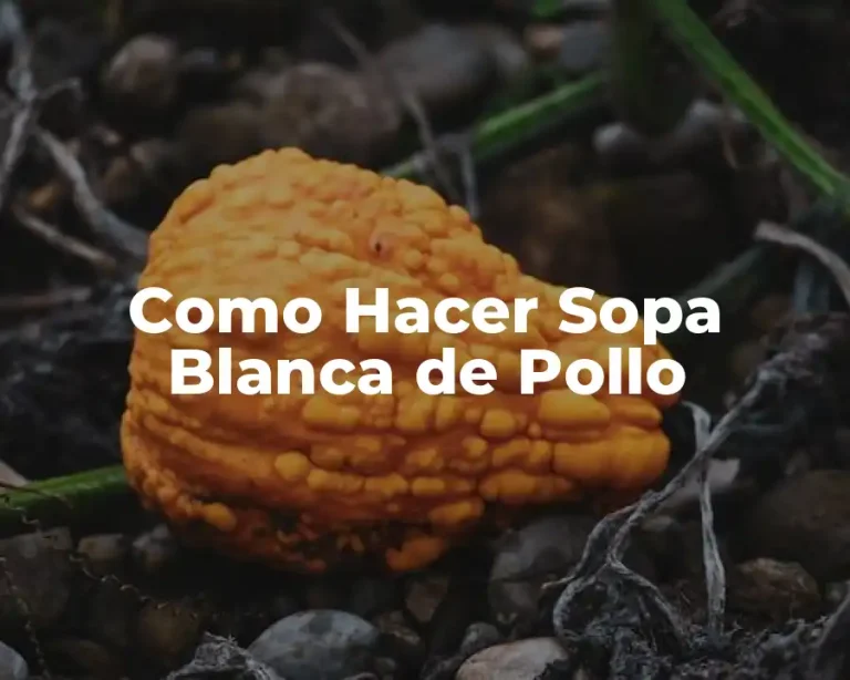 Como Hacer Sopa Blanca de Pollo