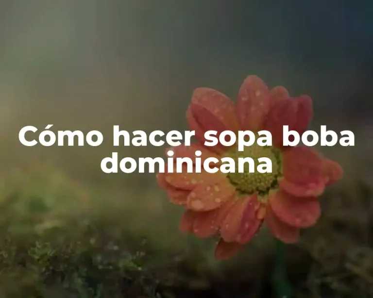 Cómo hacer sopa boba dominicana