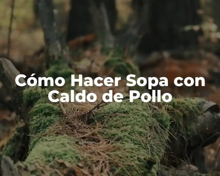 Cómo Hacer Sopa con Caldo de Pollo