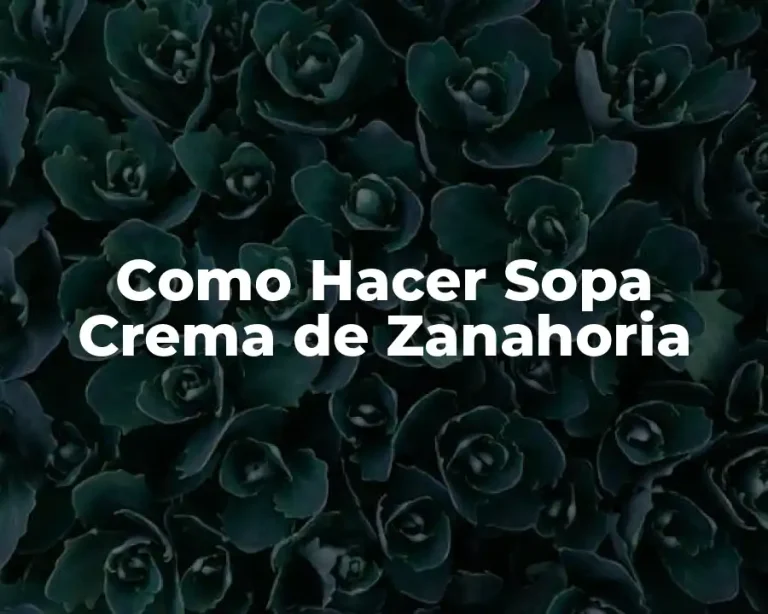 Como Hacer Sopa Crema de Zanahoria