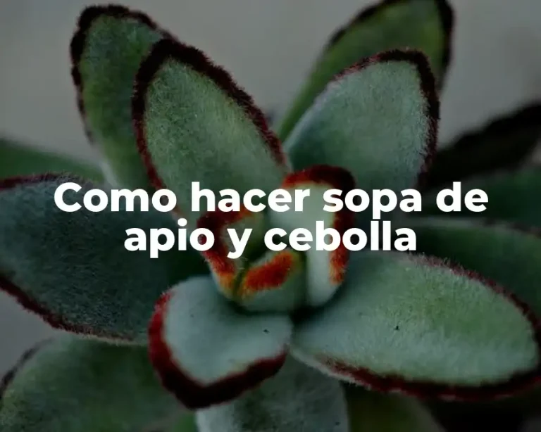 Como hacer sopa de apio y cebolla