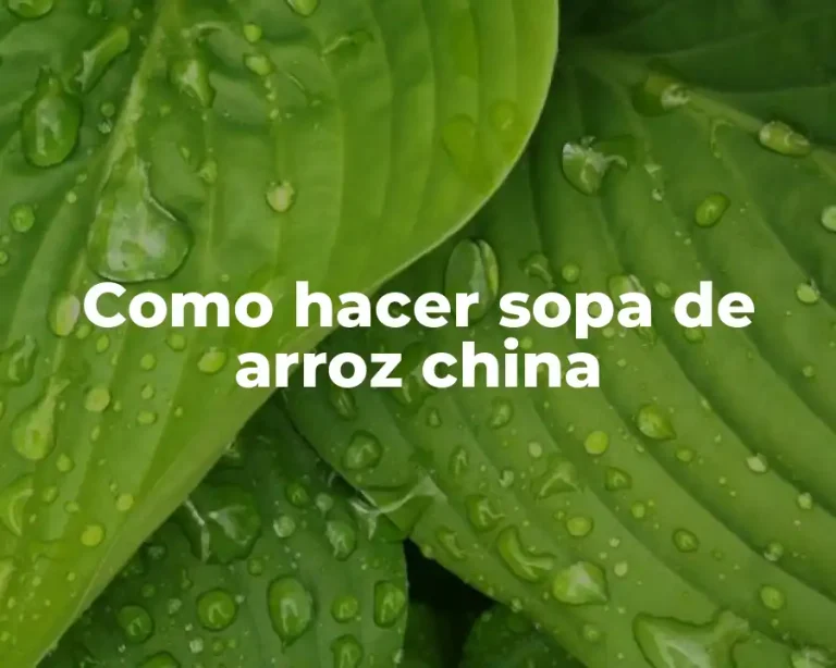 Como hacer sopa de arroz china