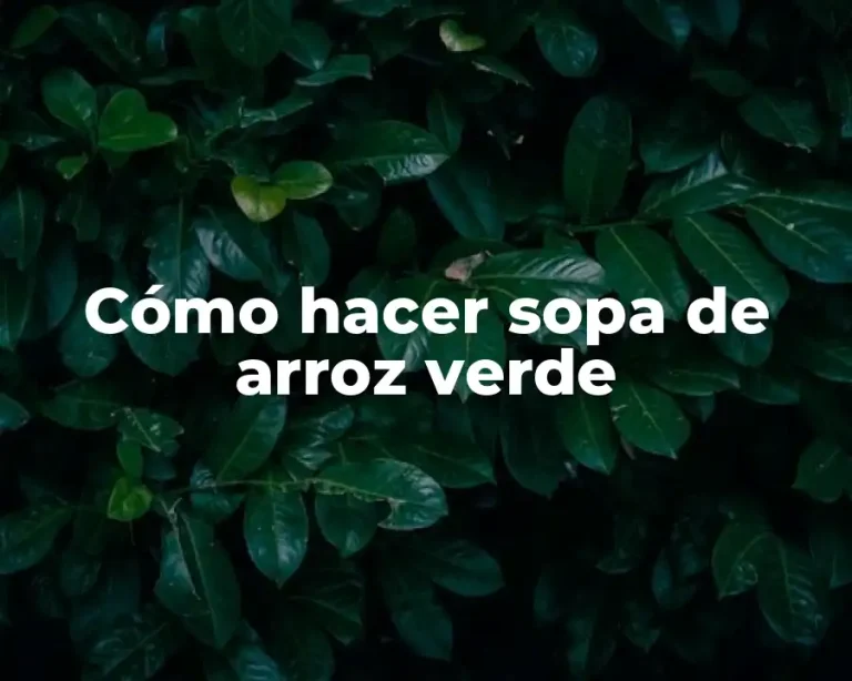 Cómo hacer sopa de arroz verde