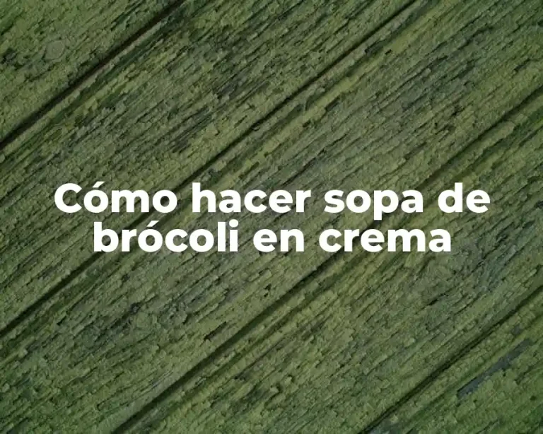 Cómo hacer sopa de brócoli en crema