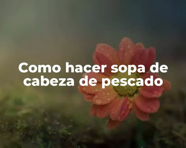 Como hacer sopa de cabeza de pescado