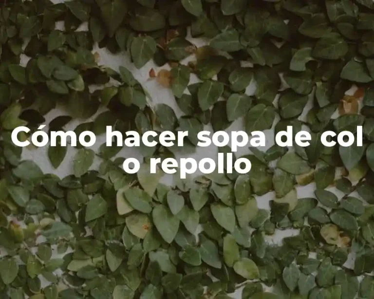 Cómo hacer sopa de col o repollo