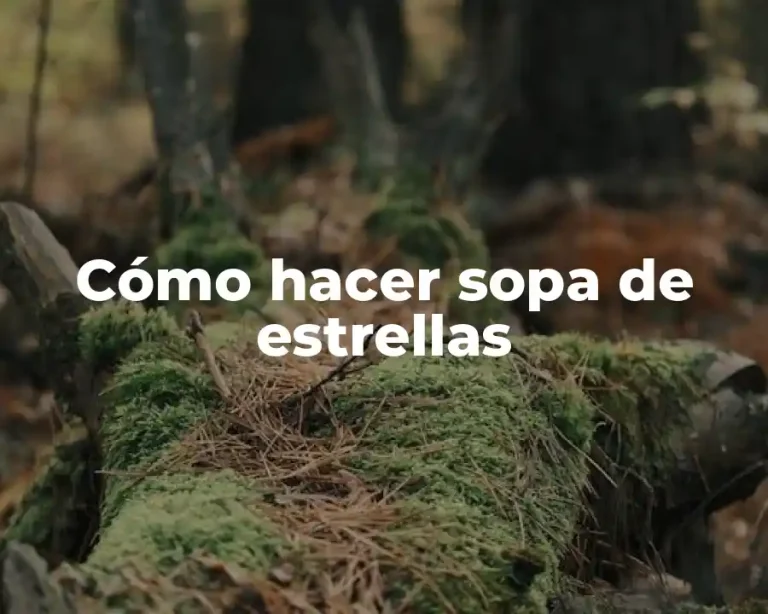 Cómo hacer sopa de estrellas