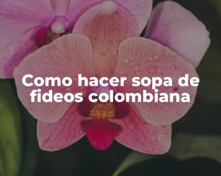 Como hacer sopa de fideos colombiana