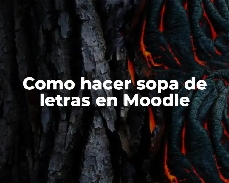 Como hacer sopa de letras en Moodle