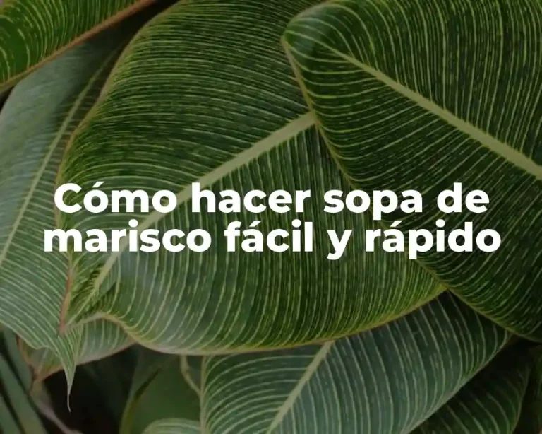 Cómo hacer sopa de marisco fácil y rápido