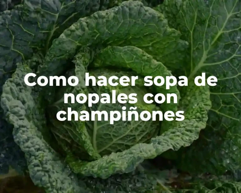 Como hacer sopa de nopales con champiñones