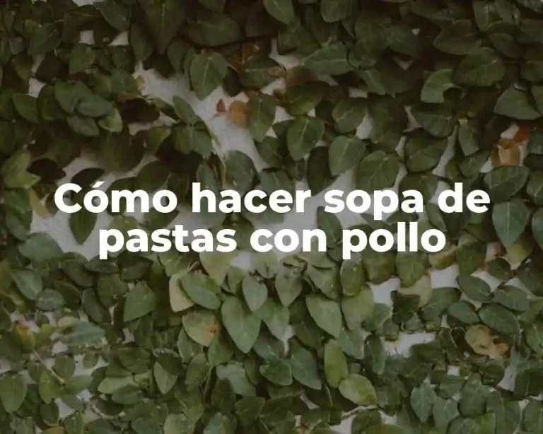 Cómo hacer sopa de pastas con pollo
