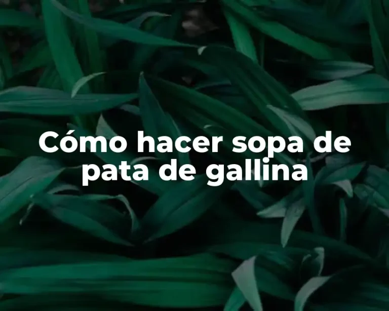 Cómo hacer sopa de pata de gallina