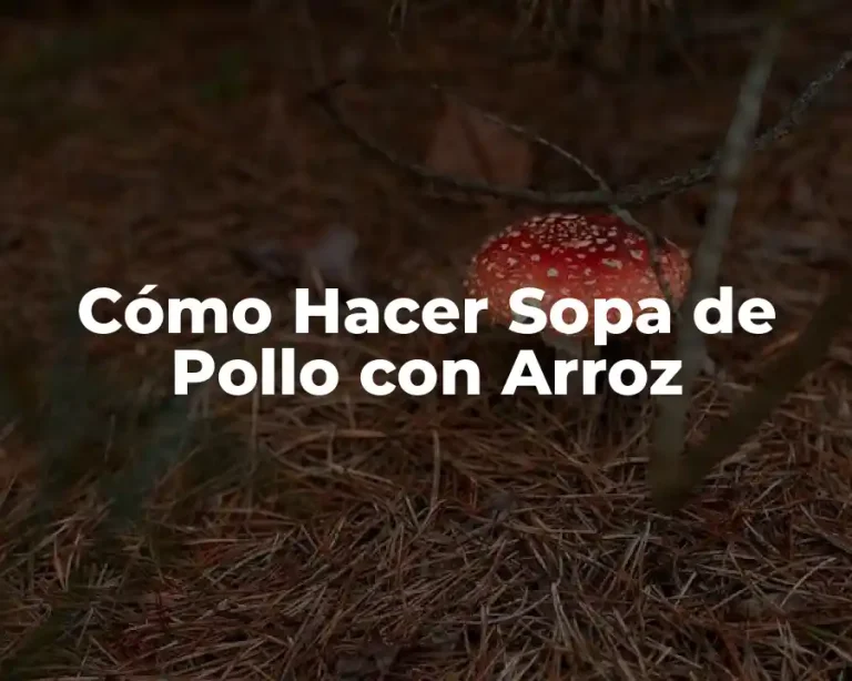 Cómo Hacer Sopa de Pollo con Arroz