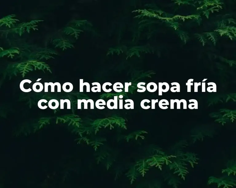 Cómo hacer sopa fría con media crema