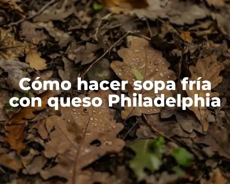 Cómo hacer sopa fría con queso Philadelphia