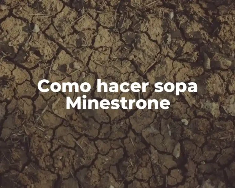 Como hacer sopa Minestrone