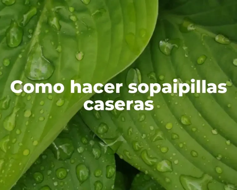 Como hacer sopaipillas caseras