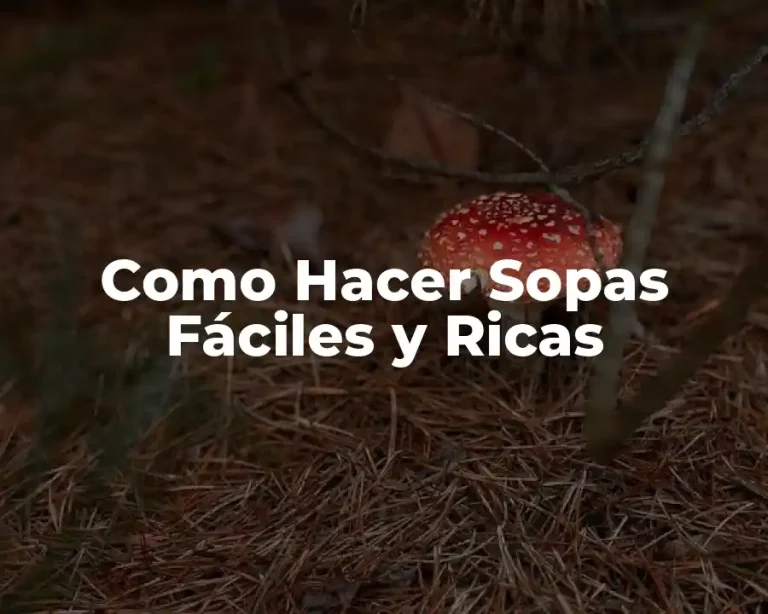 Como Hacer Sopas Fáciles y Ricas