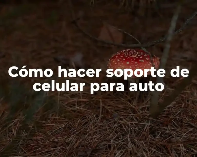 Cómo hacer soporte de celular para auto