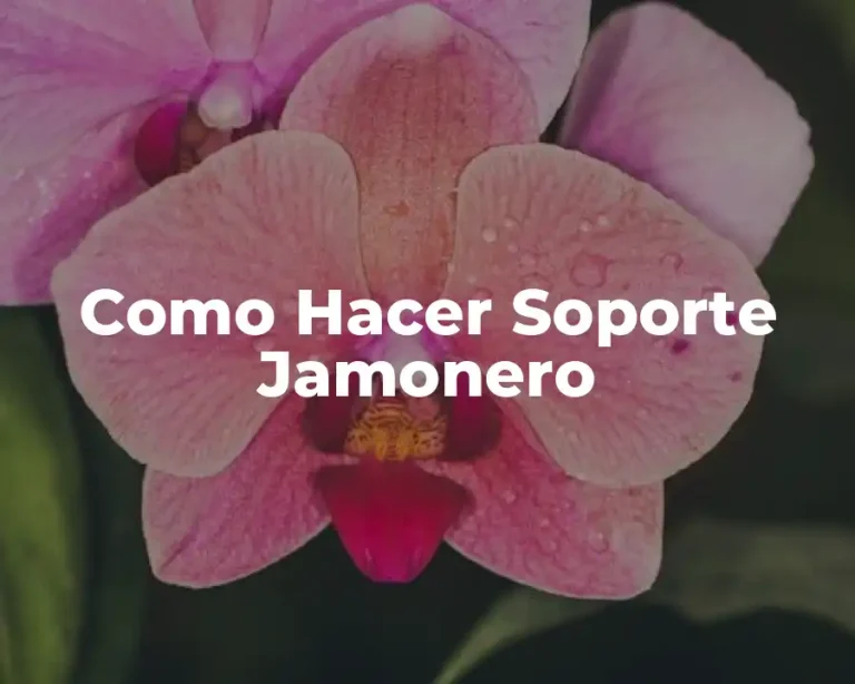 Como Hacer Soporte Jamonero