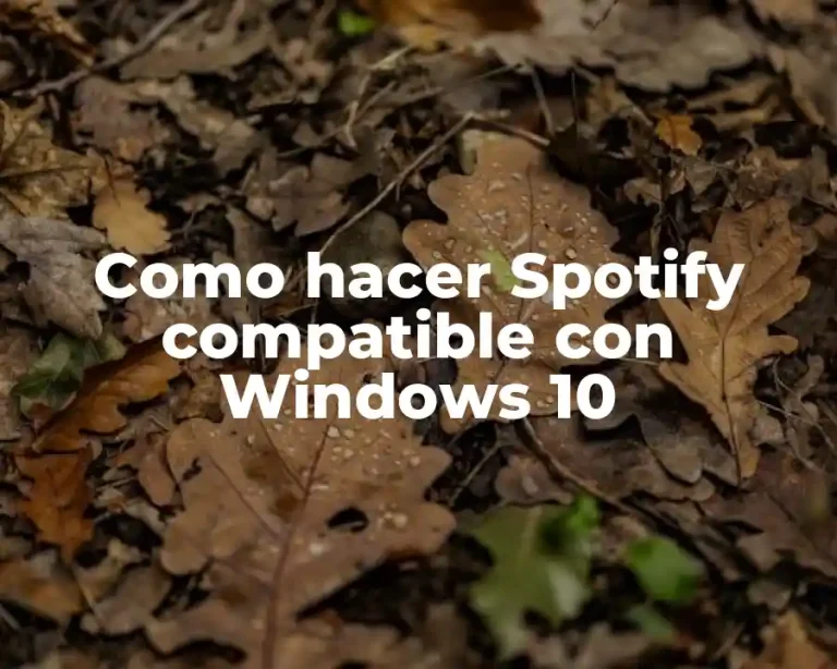 Como hacer Spotify compatible con Windows 10