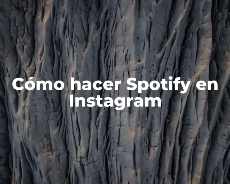 Cómo hacer Spotify en Instagram