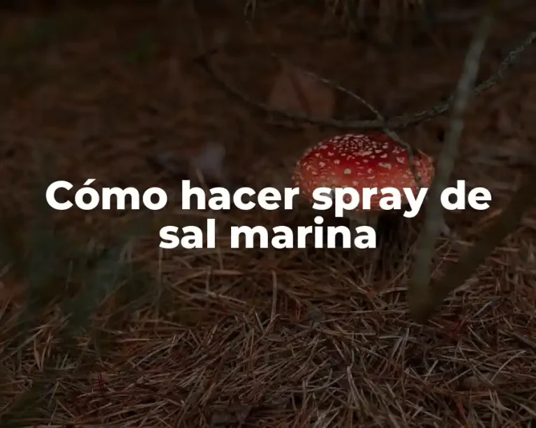 Cómo hacer spray de sal marina