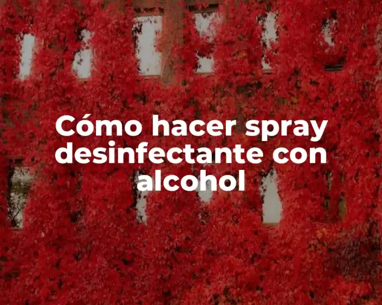 Cómo hacer spray desinfectante con alcohol
