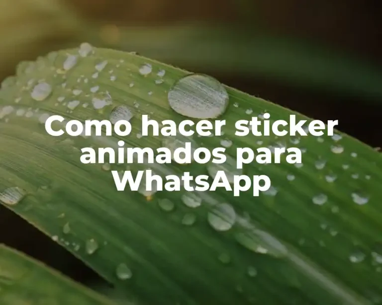 Como hacer sticker animados para WhatsApp