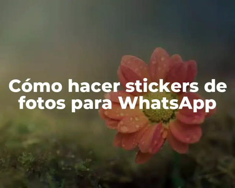 Cómo hacer stickers de fotos para WhatsApp