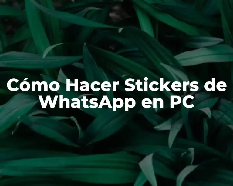 Cómo Hacer Stickers de WhatsApp en PC