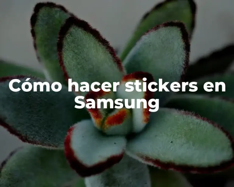 Cómo hacer stickers en Samsung