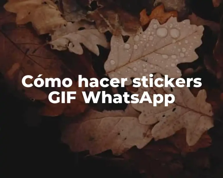 Cómo hacer stickers GIF WhatsApp